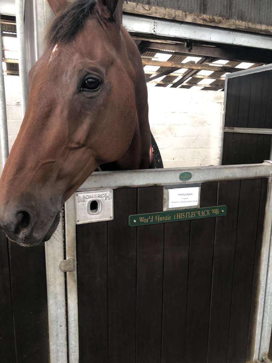 Good to see Thistlecrack looking well. No finalised plan or target but most likely to stay over hurdles. Copperhead, Slate House, Mister Malarky and Elegant Escape all aimed at Ladbrokes Trophy.Fox Norton, Reserve Tank, West Approach and Royal Vacation also doing well.