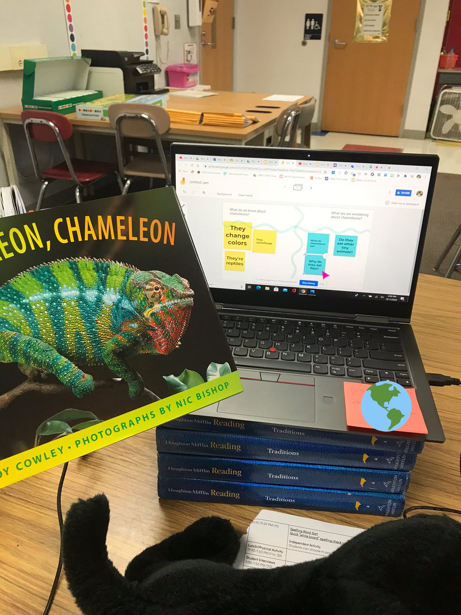Had SO MUCH fun on our virtual field trip to Madagascar today! We activated our SCHEMA and came up with some inquiries about chameleons before reading Chameleon, Chameleon to find the main idea and key details of the text! <a href="/FWESIBPYP/">Farmington Woods</a>