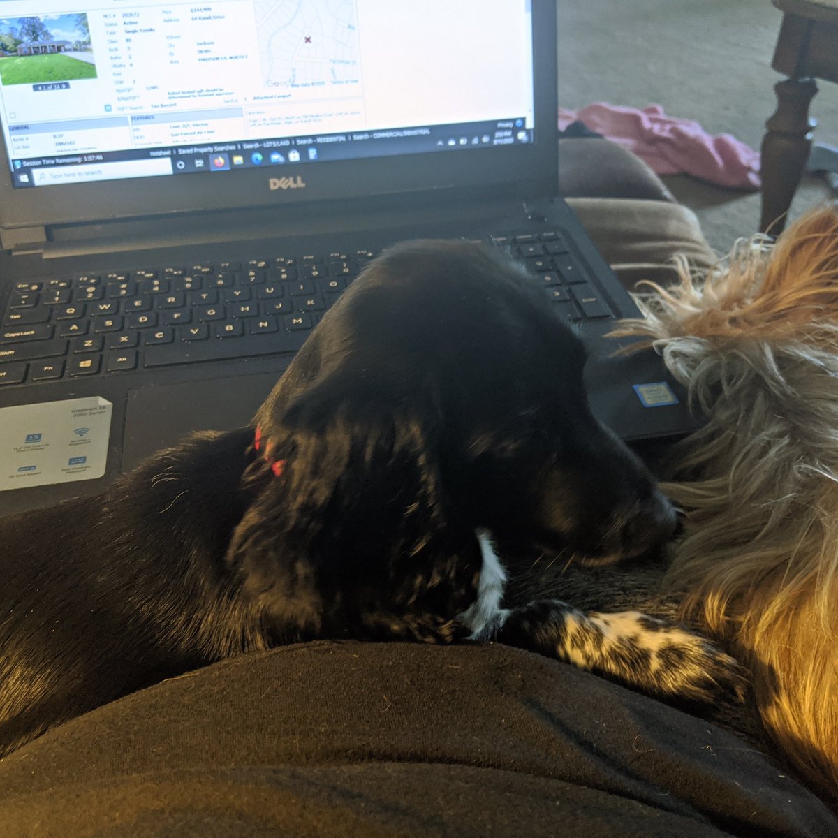 DianB1988's tweet photo. My work staff today ❤️
#lovemyjob
#loverealestate
#homeiswheretheheartis ❤️ https://t.co/6Qnuiv0mWa