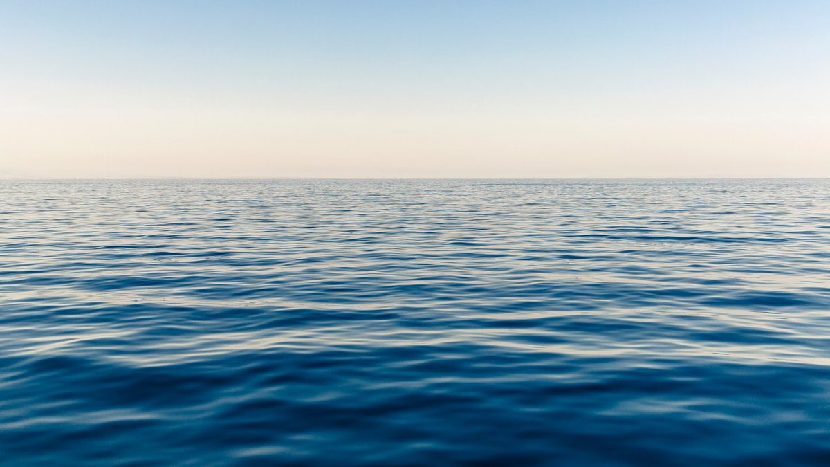 Le mot de trop tweet media