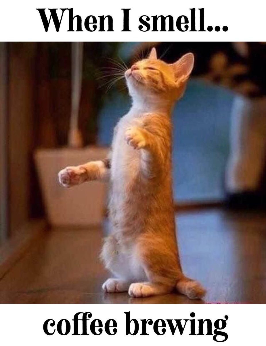 BoardFoxGames's tweet image. Oh yes the glorious smell of coffee! ☕️