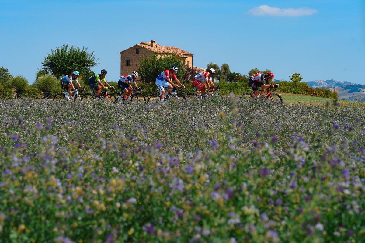 Carl Fredrik Hagen tweet media