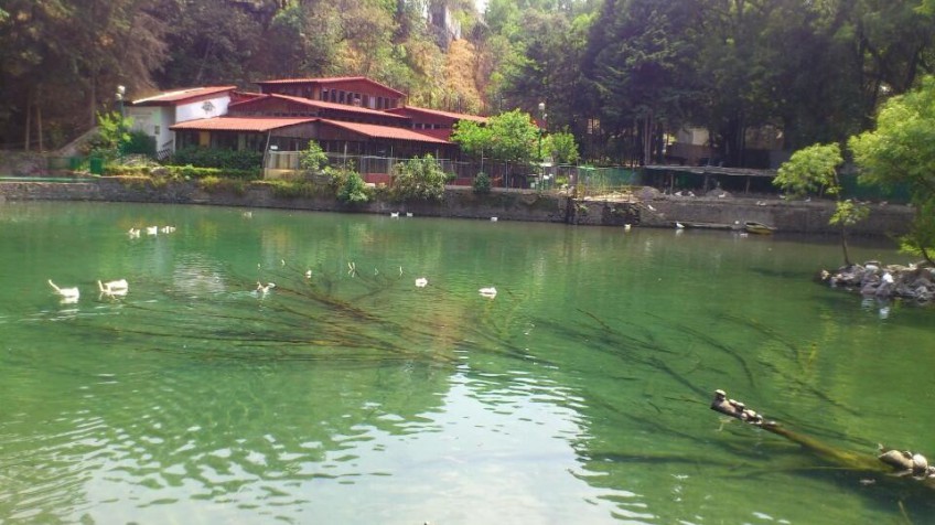 axis_ingenieria's tweet photo. Un día como hoy 28 de septiembre pero de (1938). - Se declara el Parque Nacional puentes Brotantes de Tlalpan, en la Ciudad de México (1938). 
El Parque Nacional Fuentes Brotantes es un espacio natural localizado al sur de la Ciudad de México
#CDMX #vivemexico #AXIS #AxisIMA https://t.co/y3vzutifq9
