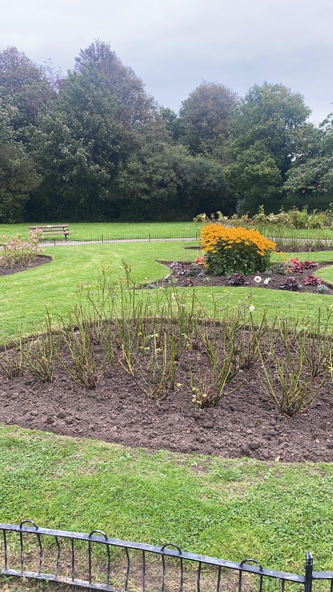 MoorsideFriends's tweet photo. If you have been into the rose gardens recently you may have seen our lovely gardener; John, working hard to transform them.......they look like a show garden now 🌹🌹
Thanks John from us all 😃 https://t.co/Oua2W1YGsI