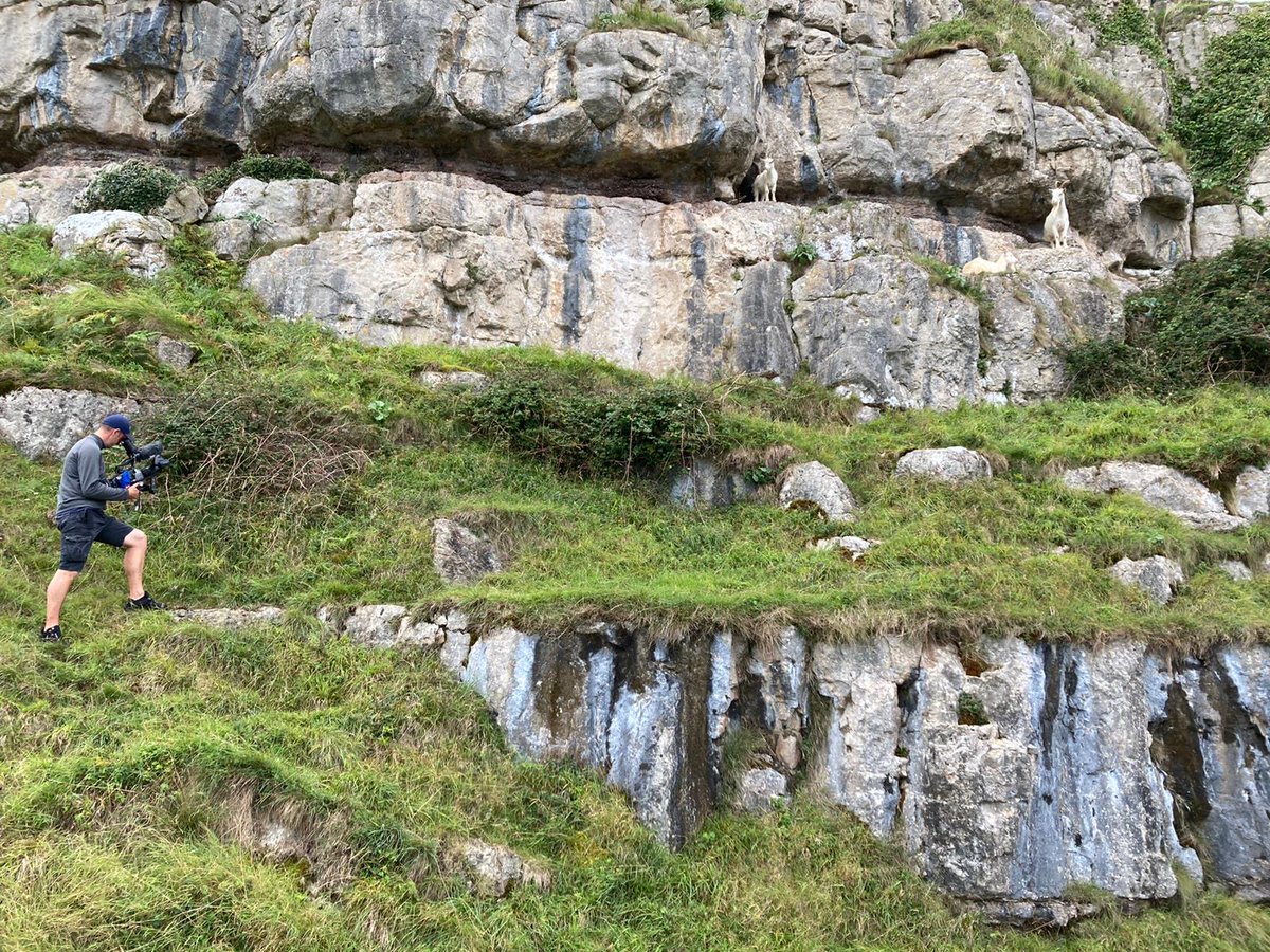 Wedi mwynhau hanesion y geifr ar y rhaglen heno? Mae gan Sion Dafis fwy o'u hanesion draw ar ein tudalen Facebook.
facebook.com/NaturaNiS4C/vi…