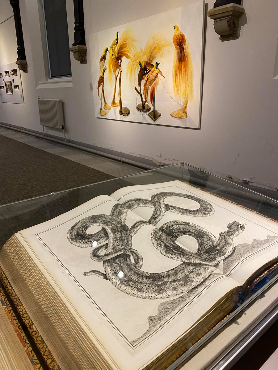 ushawdurham's tweet photo. Amazing new art exhibition starts Saturday 12th September - exhibition and buildings open 10am-4pm Saturday and Sunday only at the moment!
#Ushawesome #ArtExhibition #MarkFairnington #Relics https://t.co/0ZJ08vjbtk