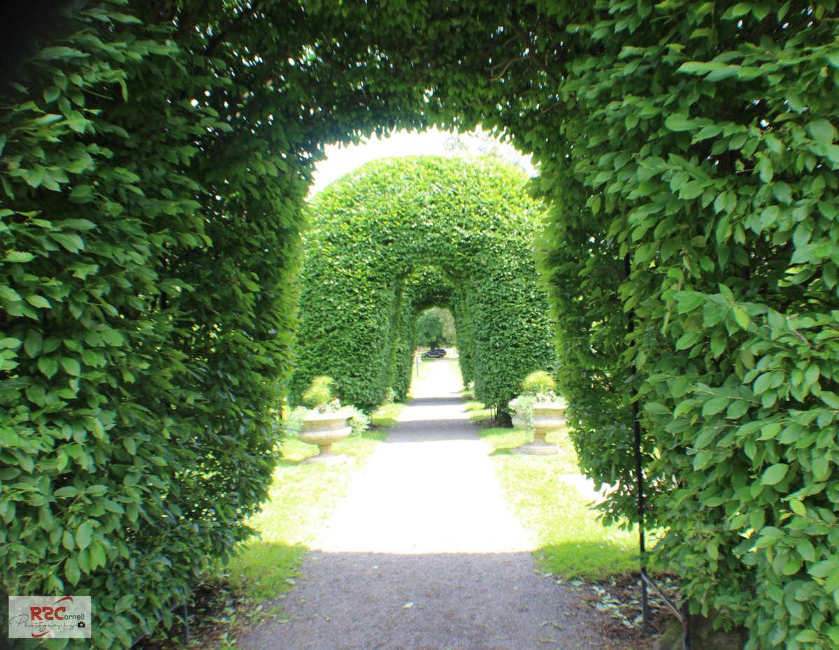 Robert R Cornell tweet media