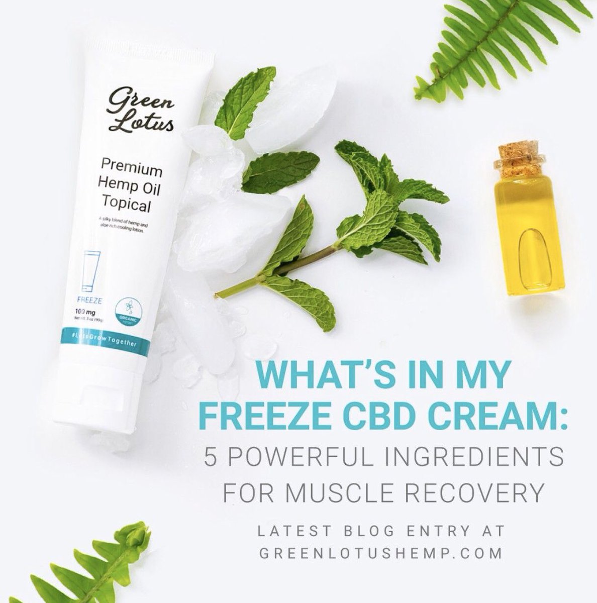 glbrandsinc's tweet photo. The latest addition to the @greenlotushemp blog breaks down the Freeze Hemp Topical and shows how the magic happens. Freeze is perfect for post exercise on those trouble areas to help reduce soreness. Read it here: https://t.co/IrisOMXTVP 🌱#RemediesForLife https://t.co/C5jfN2KFVf