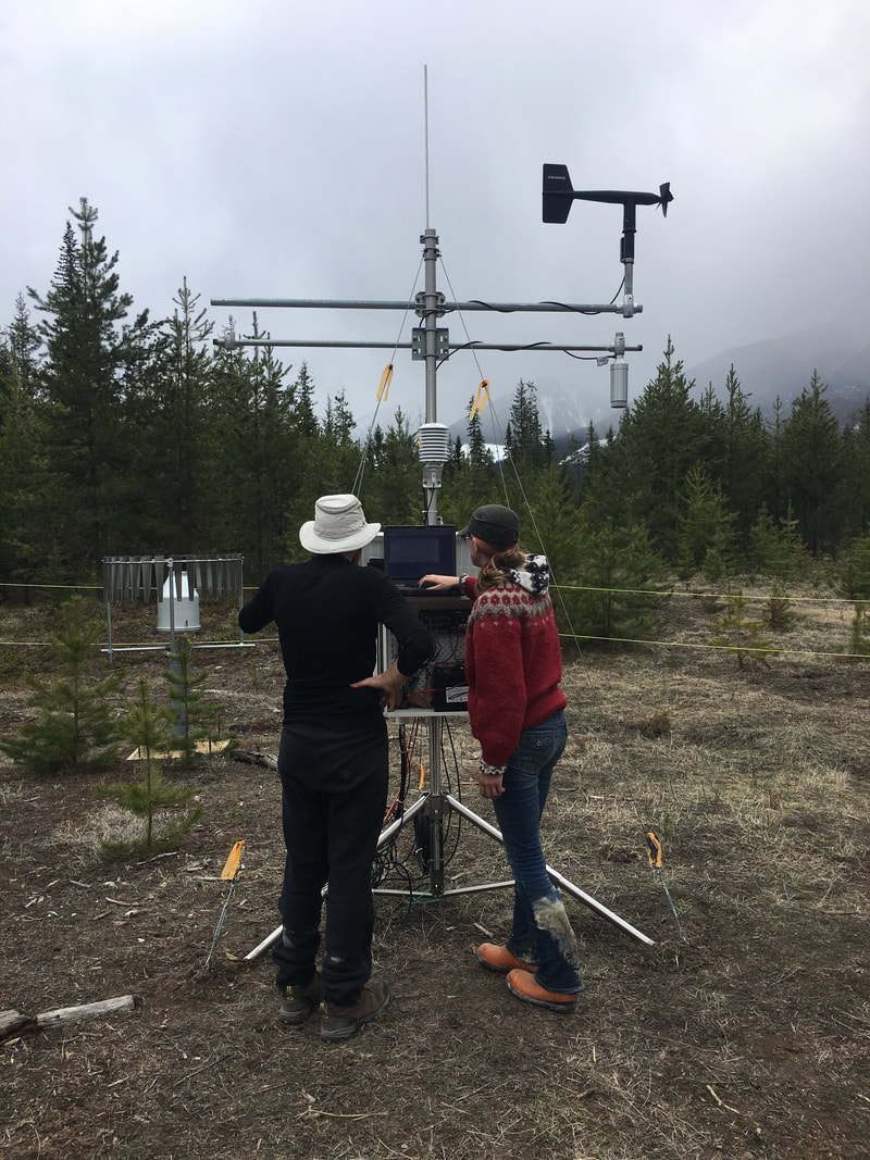 GwfSpade's tweet photo. Downloading data and ensuring the instruments are working properly at our Nipika field site weather station in early May 2019. @sciencesUQAM @UNBC @GWFutures #fieldworkfriday #hydrometeorology #atmosphericscience https://t.co/kH2HV5WMQT