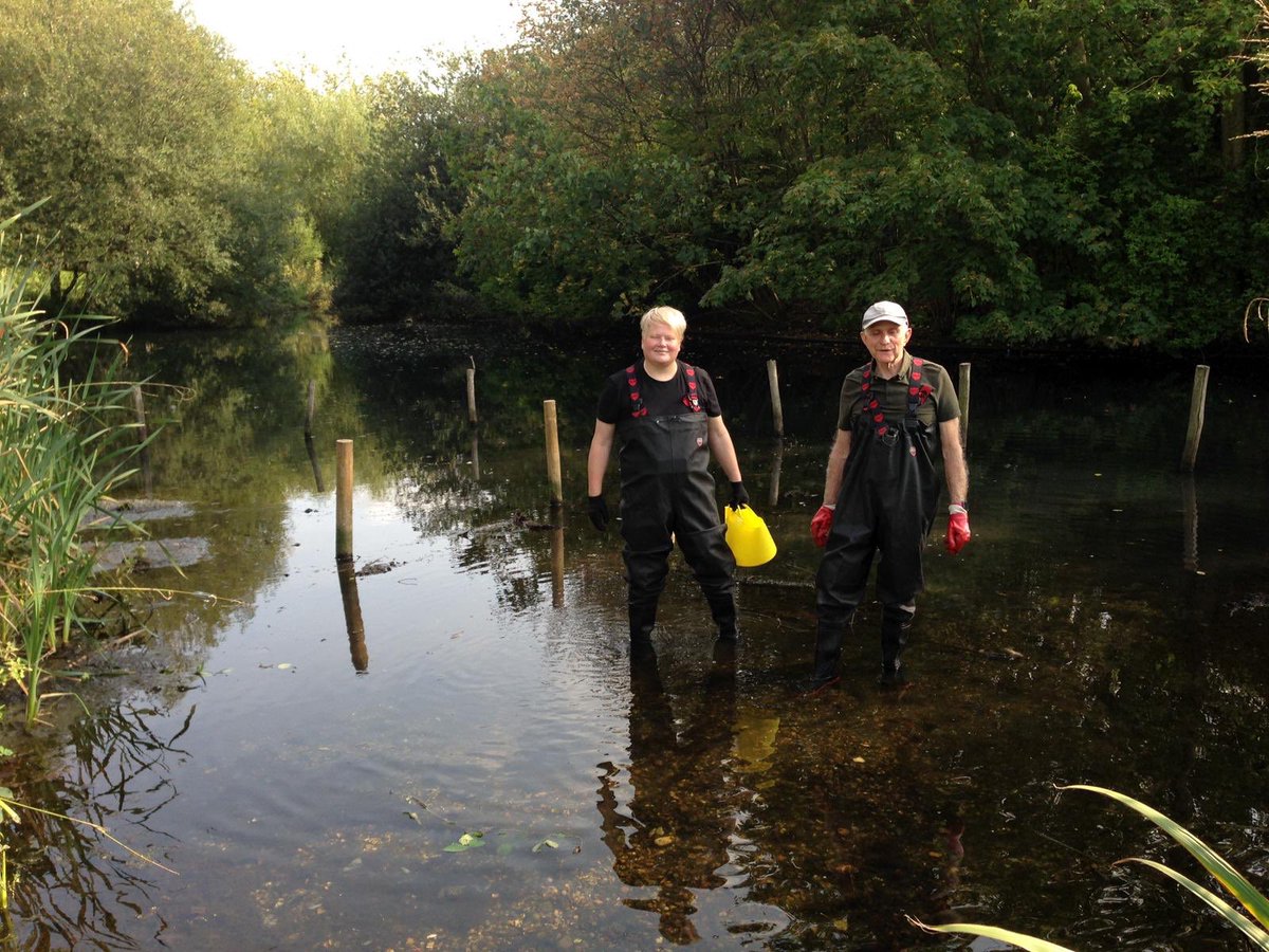 StonebridgeLock's tweet photo. Glorious afternoon with the fabulous @OfPymmes Jenny & Sumishta in the lush #PymmesPark pond (what a #secretlocal treasure!!) prepping for the translocation of our #BreamClose #TottenhamLock #LeeNavigation #swans by @Swan_Sanctuary #wildliferescue #PymmesBrook #HealthyRivers https://t.co/HFQde1yudq