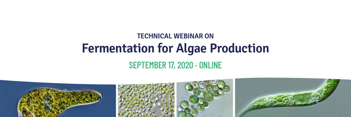 EABA_Algae's tweet photo. Sept. 17: @EABA_Algae webinar #Fermentation for #Algae #Production, chaired by Richard Van Kranenburg, Head of Regulatory Algae Ingred.&amp;Biotech. Innov. @CORBION together with Reza Ranjbar, Head of Technology - #CPI, UK. More info: https://t.co/s9HIZRccEI
@Buildingonevent
Join us! https://t.co/csmTeoeWwK