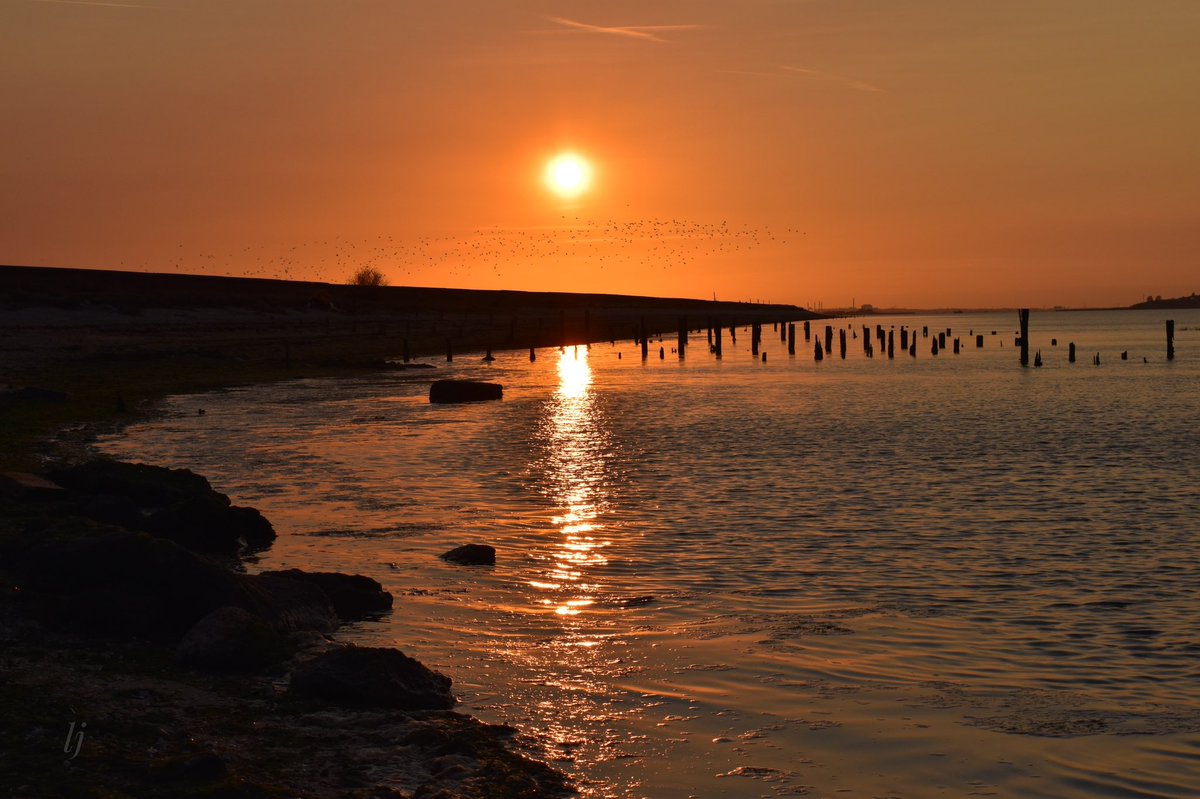 lisajluke's tweet photo. Seasalter sunset tonight #sunset #sunsetphotography #seasalter #whitatable #kent #visitcanterbury #visitkent #bbcsoutheast https://t.co/qEIedanhws