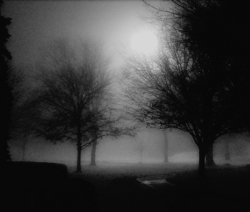 33. It took a second to realize that the sirens themselves were now doubling as megaphones, & it was hard to hear what was being said, slowly, & repeatedly—& truly, truly hauntingly—it was a haunting experience; it is haunting now in recollection of that dark, smoke-foggy night.