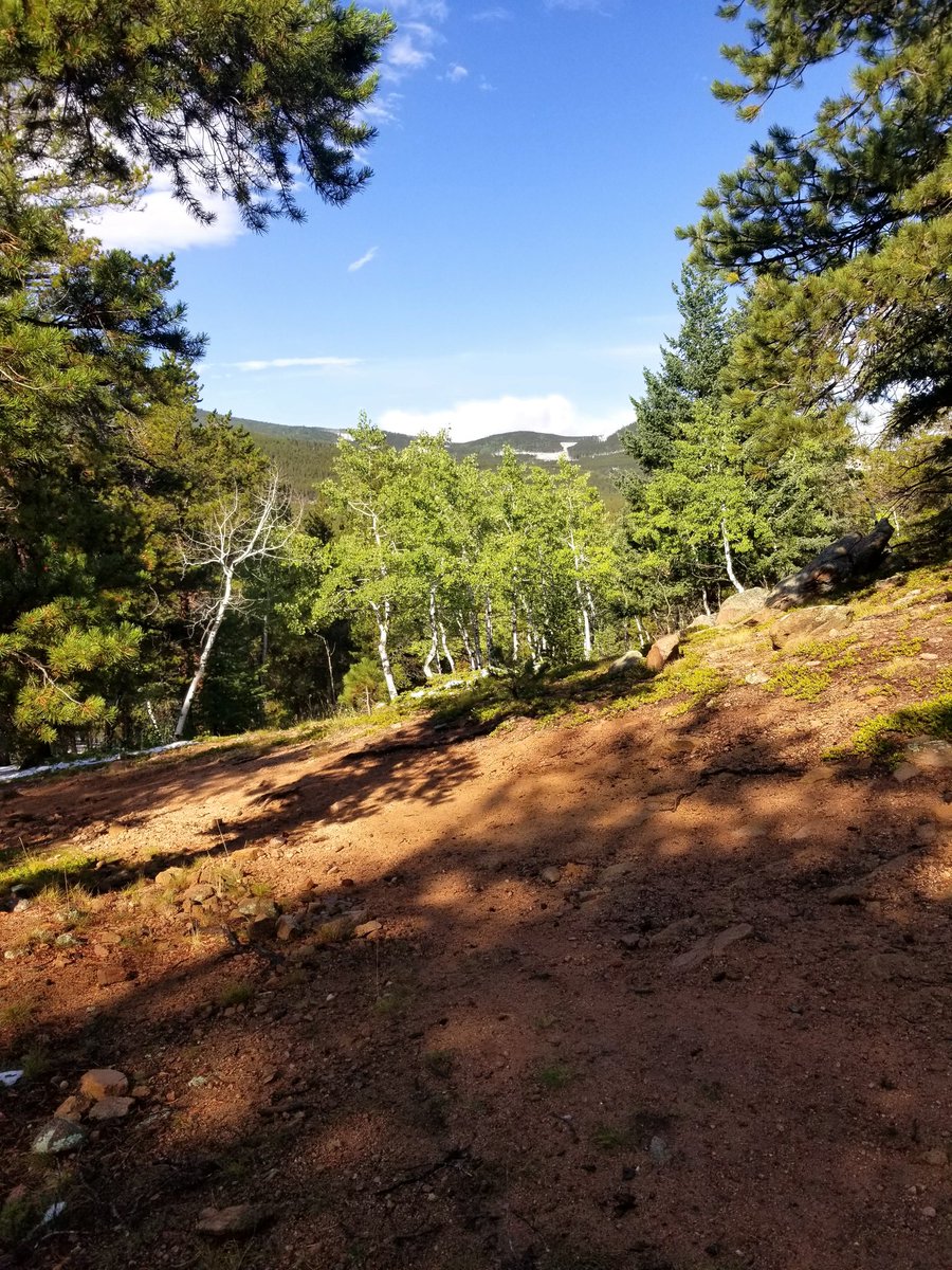 chencrew04's tweet photo. On Fridays, we hike! Such a beautiful hike this week! Perfect weather! Upper Maxwell Falls, part 1! 3.5 miles✔ #chencrew #hike #uppermaxwellfalls #getoutdoors #exercise #geterdone💪 #noexcuses🚫 #consistency #doitforyourdamnself #stayinyourlane #nofilter #colorado #coloradolife https://t.co/CMsMgJ7Ttp
