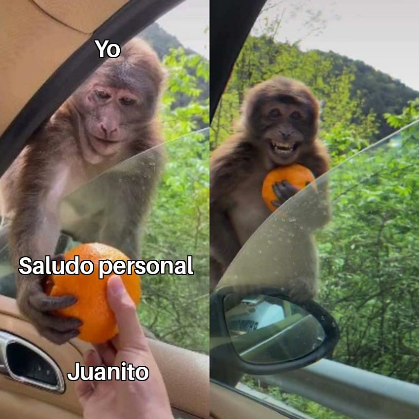 AK2Mexico's tweet photo. Buenas tardes familia 🙌
Hoy es viernes de #Alkimeme 😏
Bueno, en esta ocasión, quien no se siente identificado 🤷♂️🤣
Excelente fin de semana 😎
#MasPlaya 🇲🇽🇨🇴🌴 https://t.co/fXIt9saX0n