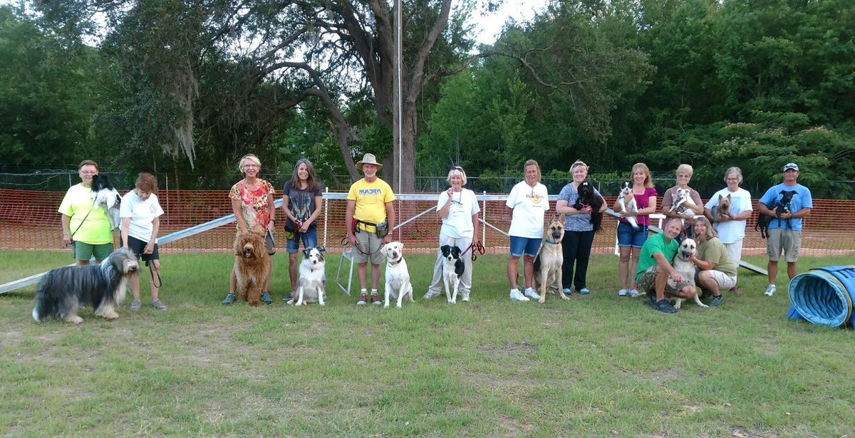 hqliveplay_com's tweet photo. #Dog #dogshow #Marion_Alachua_Dog_Training_Association https://t.co/PoieVTtgtS