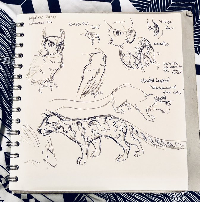 Some fast and messy sketches during the #LBXONLINE2020 columbus zoo presentation O: 