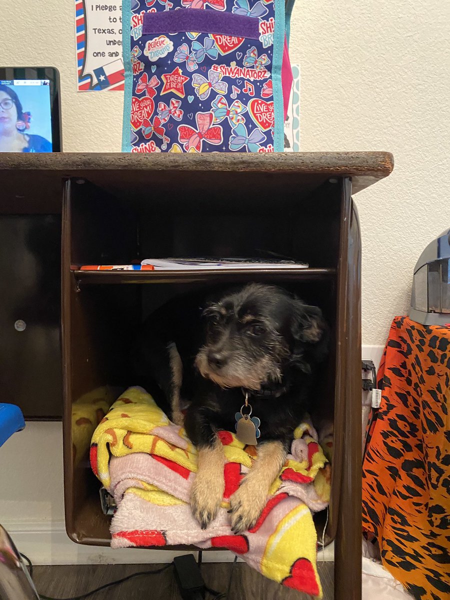 Kimberly tweet media