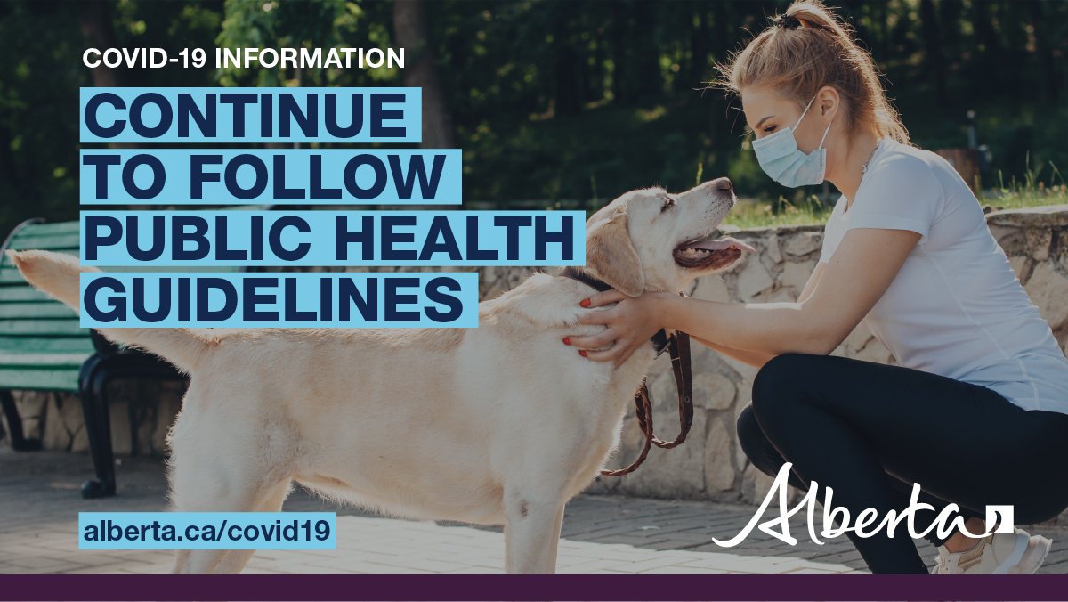 YourAlberta's tweet image. We know the past few months haven't been easy, but we are getting through it together. Protect the people around you by following all public health guidelines. Wash your hands, physically distance, wear a mask, stay home if you're sick, and get tested.
alberta.ca/COVID19