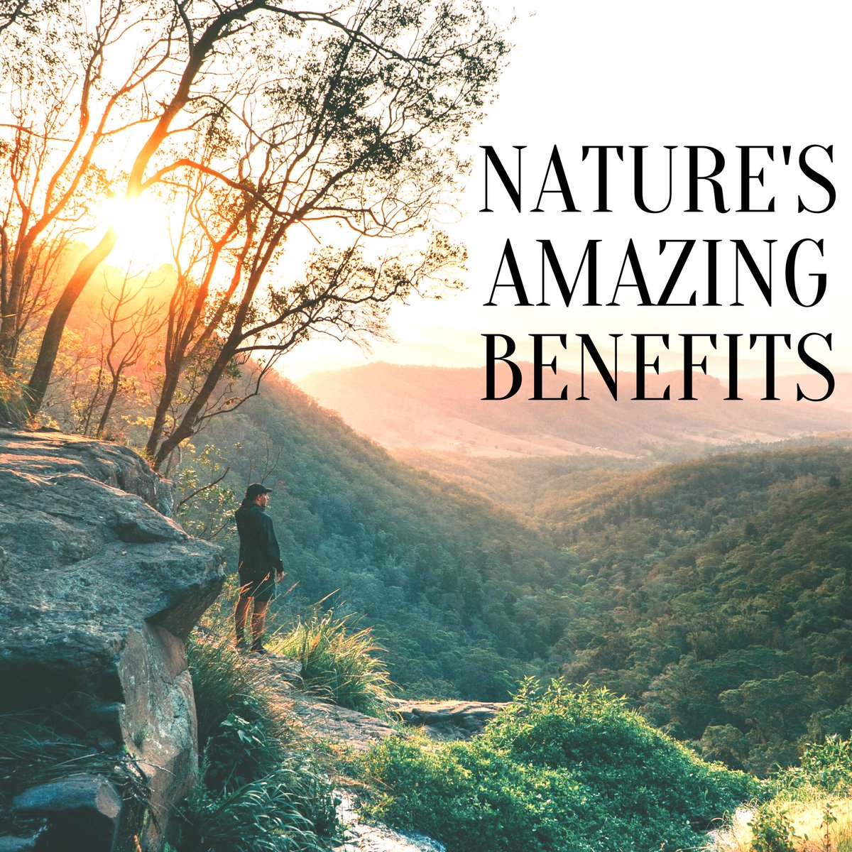 If you need a reminder of how beneficial it is to be surrounded by nature, this (ok, admittedly, rather long) article spells out all the advantages  including the positive effect on eyesight and brain development in children. Moral of the story? bit.ly/35l2cvv