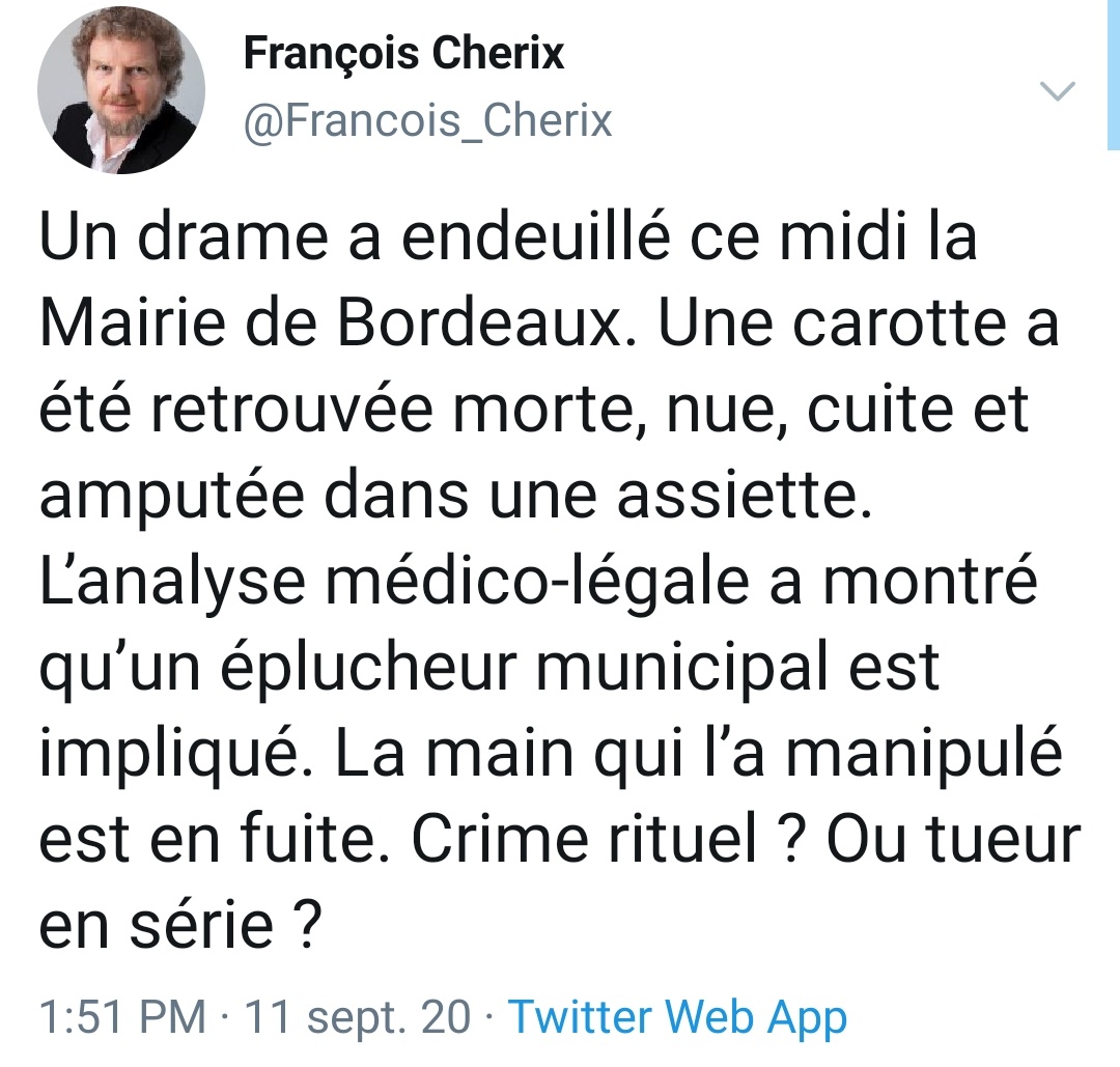 StephanieLevy75's tweet photo. C'est moi ou tout Twitter est en train de se foutre de la gu**le du Maire de #Bordeaux ? 🙂 

#ArbreMort #sapindenoel #ecologie 
@sergeJONCOUR @HillmanMarc https://t.co/hQt784E4Wm
