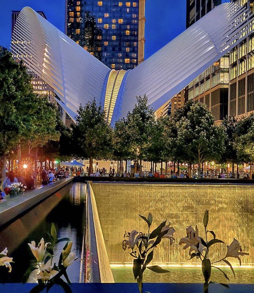 Pine St. Strategies tweet media