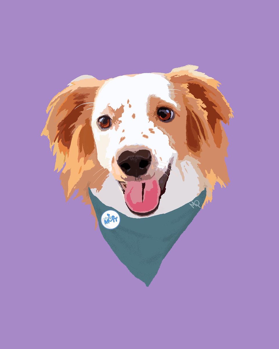 micheal_phan's tweet photo. 🐶🐶 https://t.co/1g4tT8lkgS