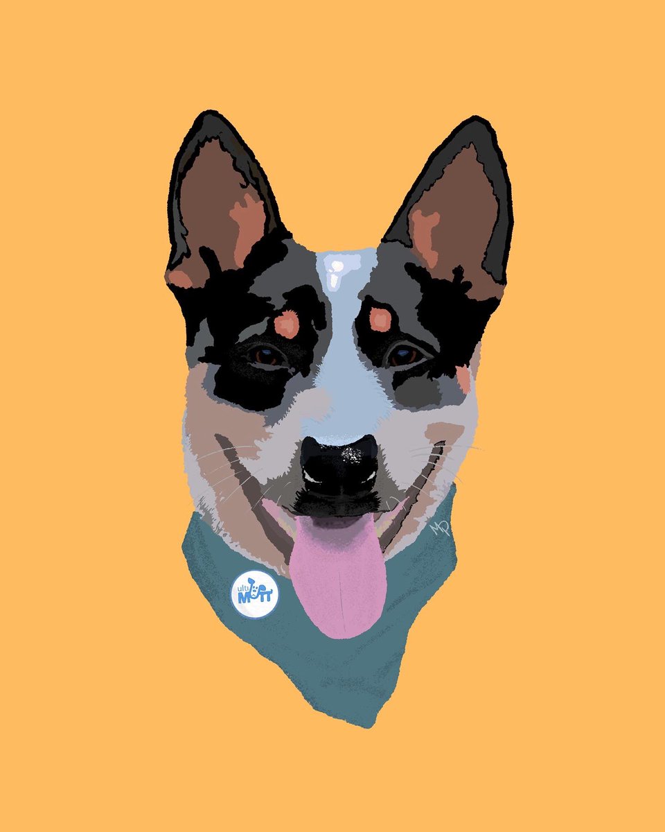 micheal_phan's tweet photo. 🐶🐶 https://t.co/1g4tT8lkgS