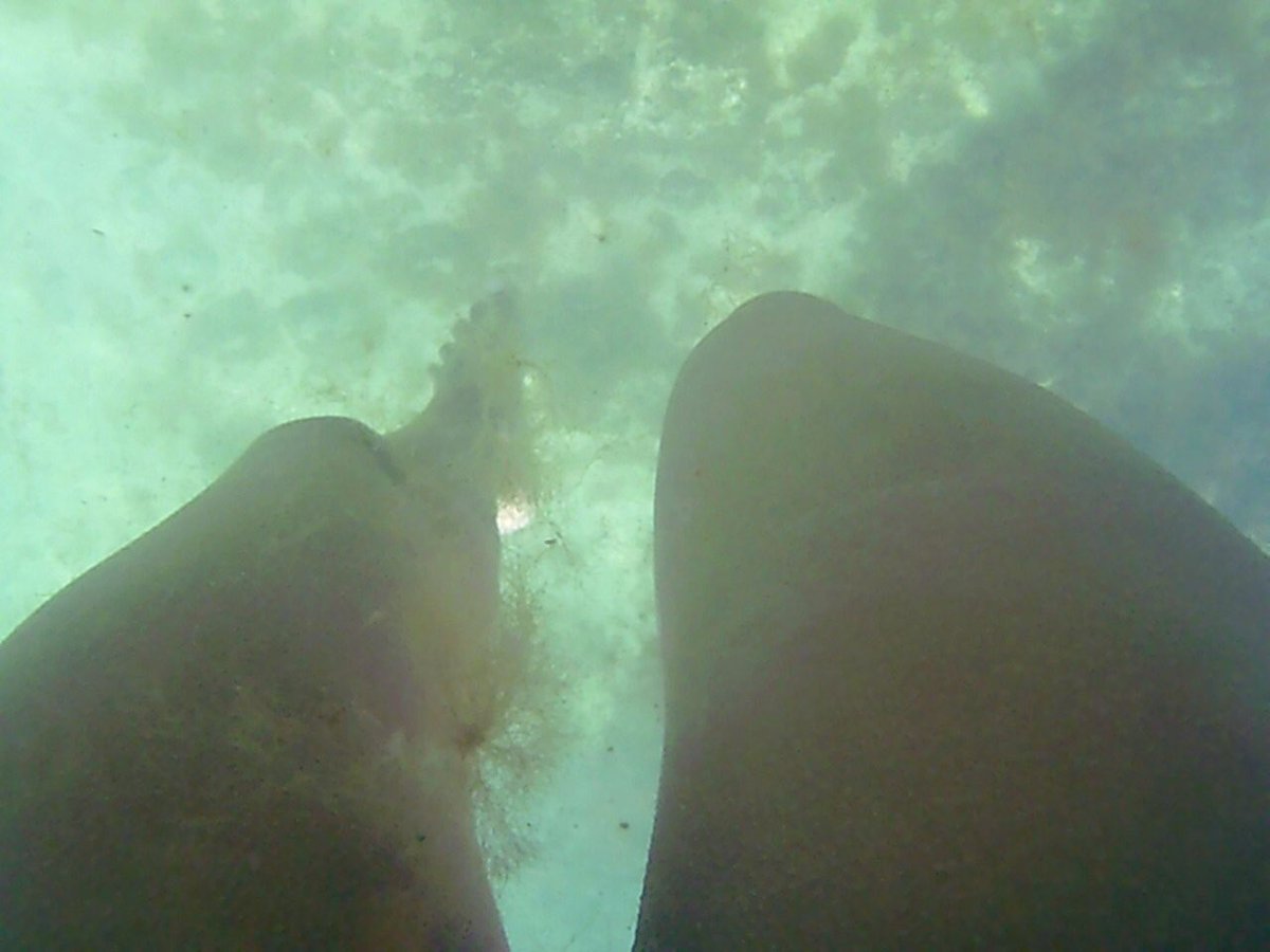 Gina23V's tweet photo. La vida se encarga de ponernos en el lugar que menos pensaríamos estar...🌊 #swim #Beach #FromLosCabos #Acapulquito https://t.co/Bu5idyUUYF