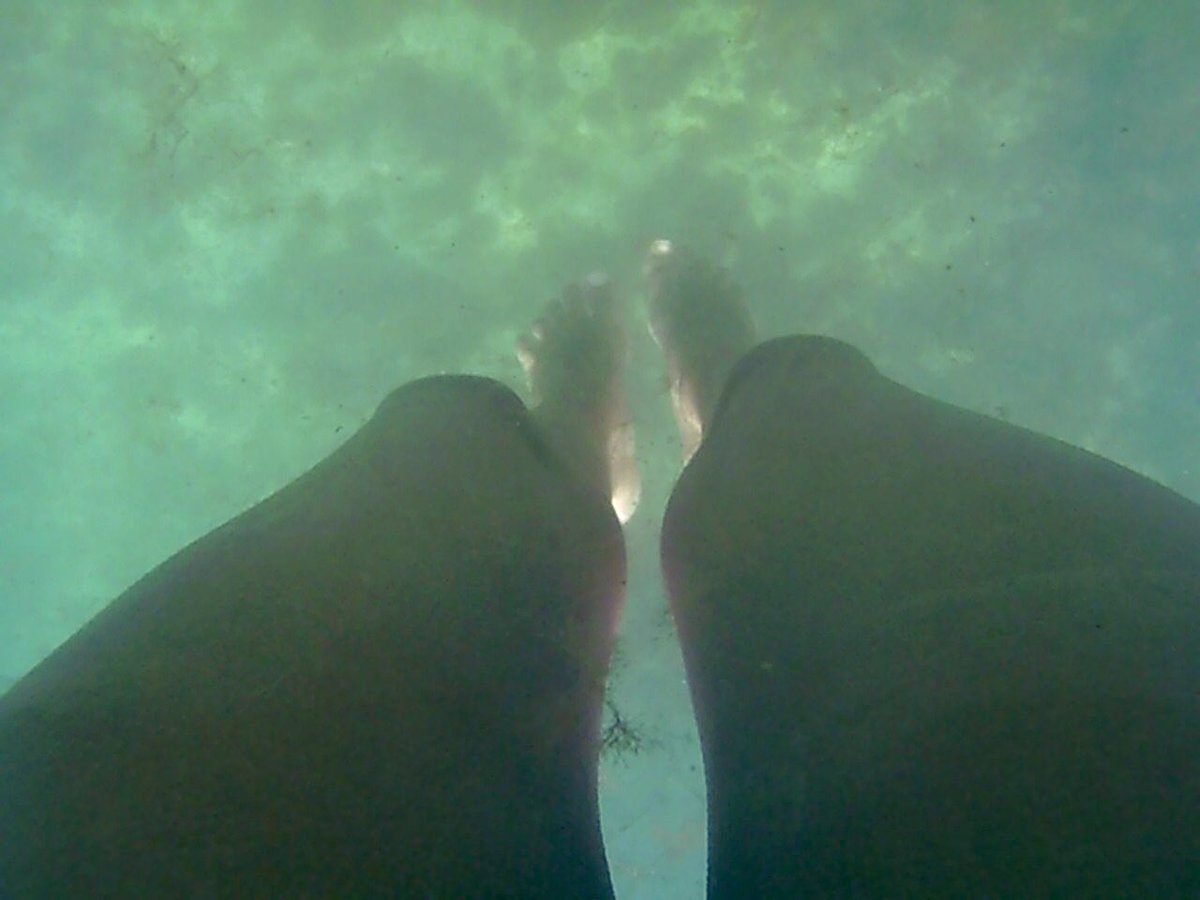 Gina23V's tweet photo. La vida se encarga de ponernos en el lugar que menos pensaríamos estar...🌊 #swim #Beach #FromLosCabos #Acapulquito https://t.co/Bu5idyUUYF