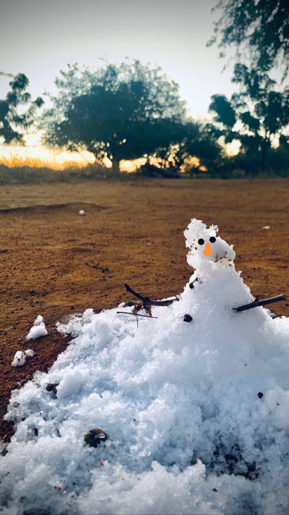 futurobrilhante's tweet photo. Você quer brincar na #neve? #bonecodeneve #snow #nevenacaatinga #caatinga #nordeste #inverno #nevenonordeste #olaf #olafnacaatinga https://t.co/WrQM13NAbn