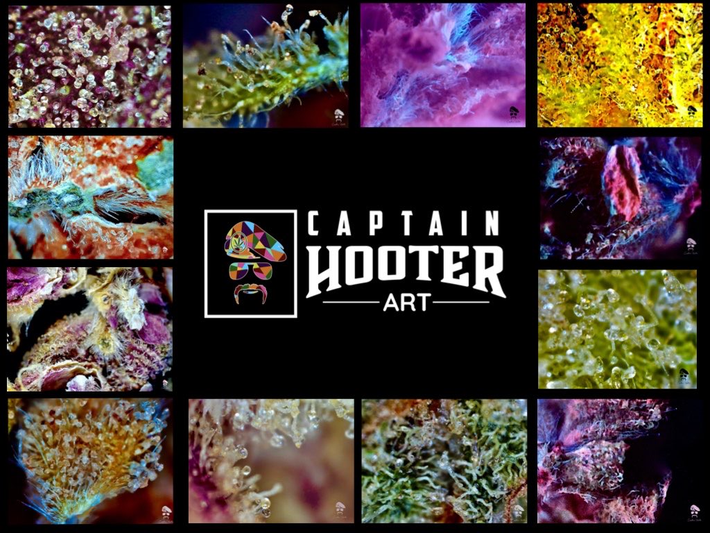 THCaptainHOOTER's tweet photo. I’ve been busy! It’s been a wild year, but I’ve just laid low and stayed focused. I’ve been working on Creating, Learning and Exploring...
Here’s the first result.
https://t.co/zr4RLtMcem
#CannabisArt #CustomCannabisCreations #Interpening #Cannabis #cannabiscommunity https://t.co/7h8877ZA6j