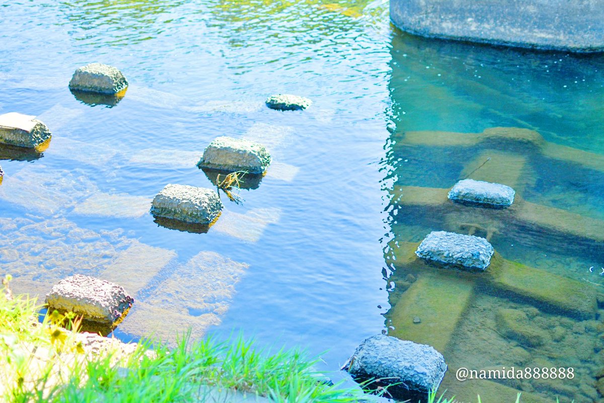 涙 澄んだ心の奥に キリトリセカイ ファインダー越しの私の世界 農試公園 写真好きな人と繫がりたい めっちゃ綺麗じゃない この公園の川