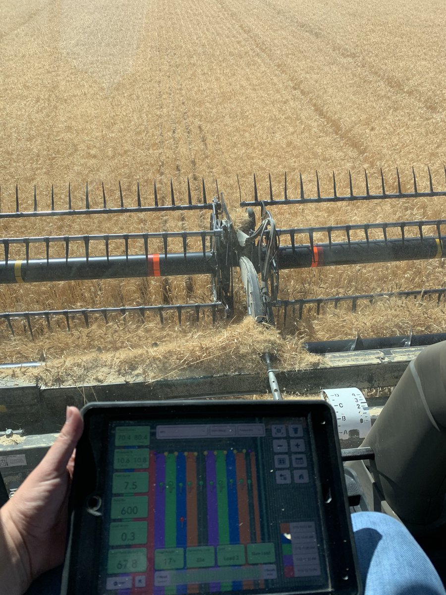 MegDesjardins's tweet photo. Another one bites the dust! @Bayer4CropsCA Wheat Fungicide Trial done! Thanks @CchlFarm!! #localdata #itpaystospray #harvest20 https://t.co/8P28gnyVwt