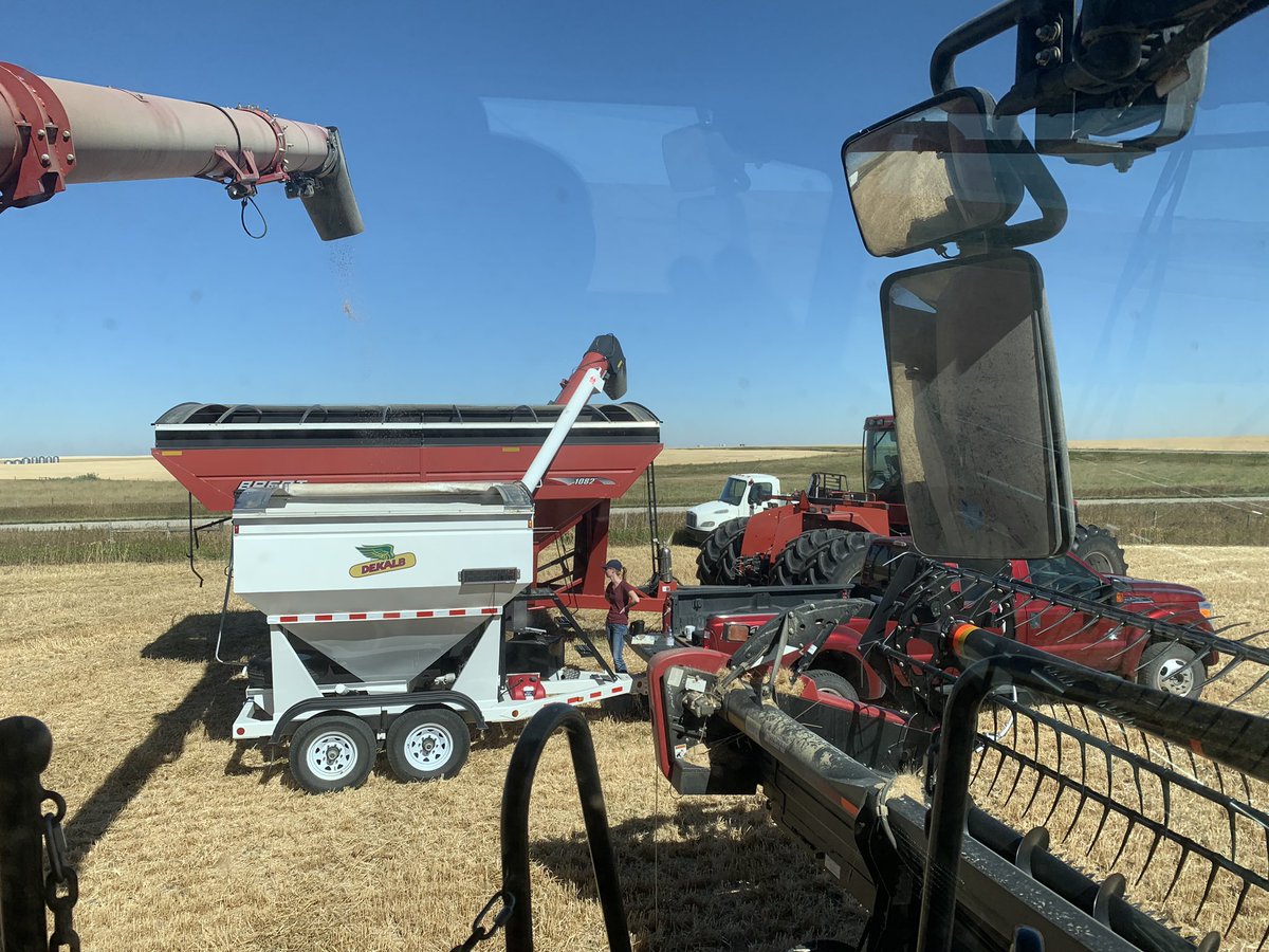 MegDesjardins's tweet photo. Another one bites the dust! @Bayer4CropsCA Wheat Fungicide Trial done! Thanks @CchlFarm!! #localdata #itpaystospray #harvest20 https://t.co/8P28gnyVwt