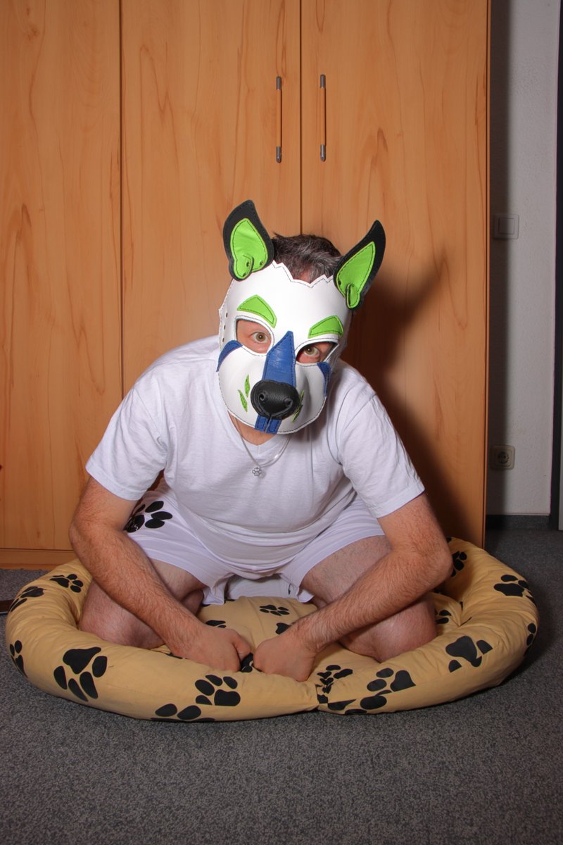 Awroooououo 🐾 The hooman said that Dexter is not allowed to be on the couch anymore. Thanks to <a href="/ScrapYardLthr/">Scrap Yard Leather</a> for this amazing customized leather hood. #pupplay #gaypup #pupdexter #gaypup #leatherhood #puppycologne #loveislove