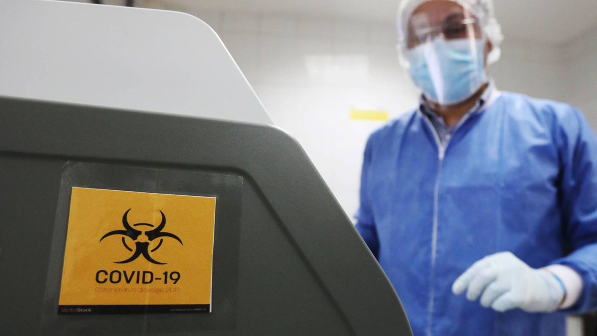 Seis meses de Pandemia, casi un millón de muertos, 28 millones de casos, así ha sido el camino del COVID-19 arepadigital.com/seis-meses-de-…
