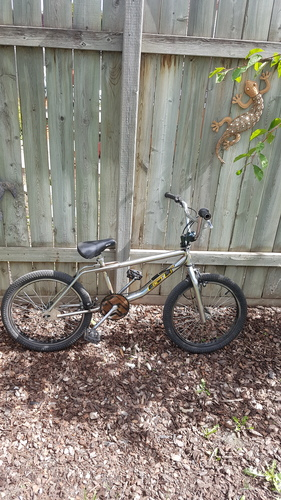 529Project's tweet image. Have you seen this silver GT Bicycles 1994 Pro Performer Freestyle stolen out of Red Deer, AB? project529.com/garage/bikes/b… #RedDeer #Alberta #cycling