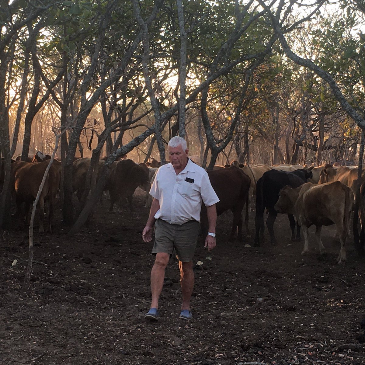 Evicted Zimbabwe farmer Martin Grobler now pondering what to do with his property left outside his home and where to move his 250 head of cattle. The claimant Ivy Rupindi says she is the rightful owner &amp; gave Grobler 24hrs to leave the farm.