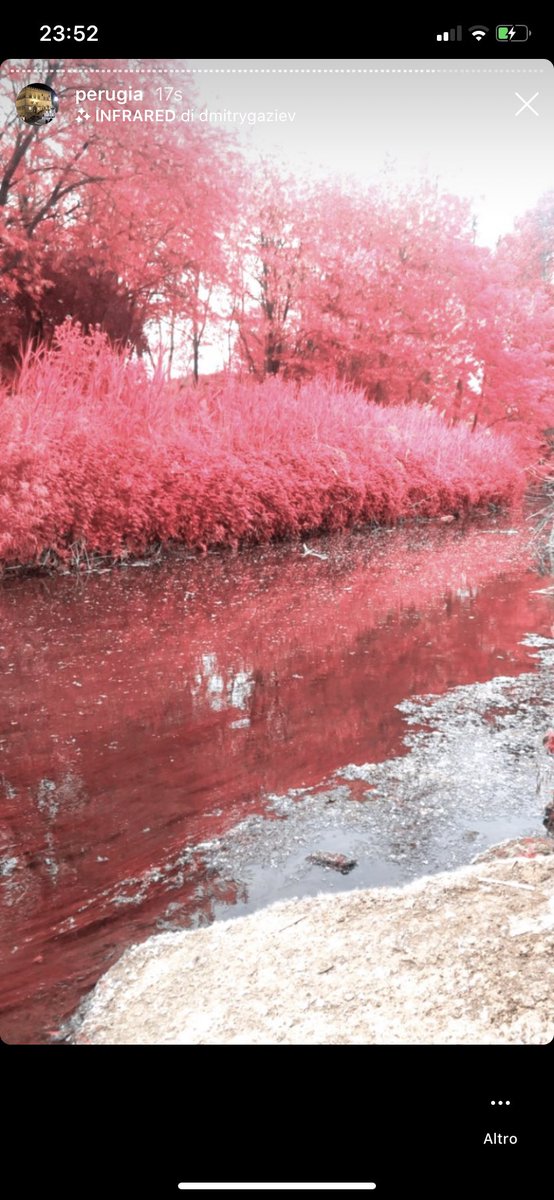 gemvini's tweet photo. fiume, questa è una foto che ho fatto la prima volta ma c’è un effetto instagram e al tempo (maggio) era pieno di pioppi https://t.co/xZJVJyrPot