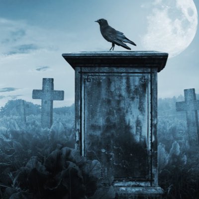 Dragonfly tweet media