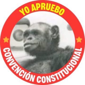 Rodrigo  tweet media