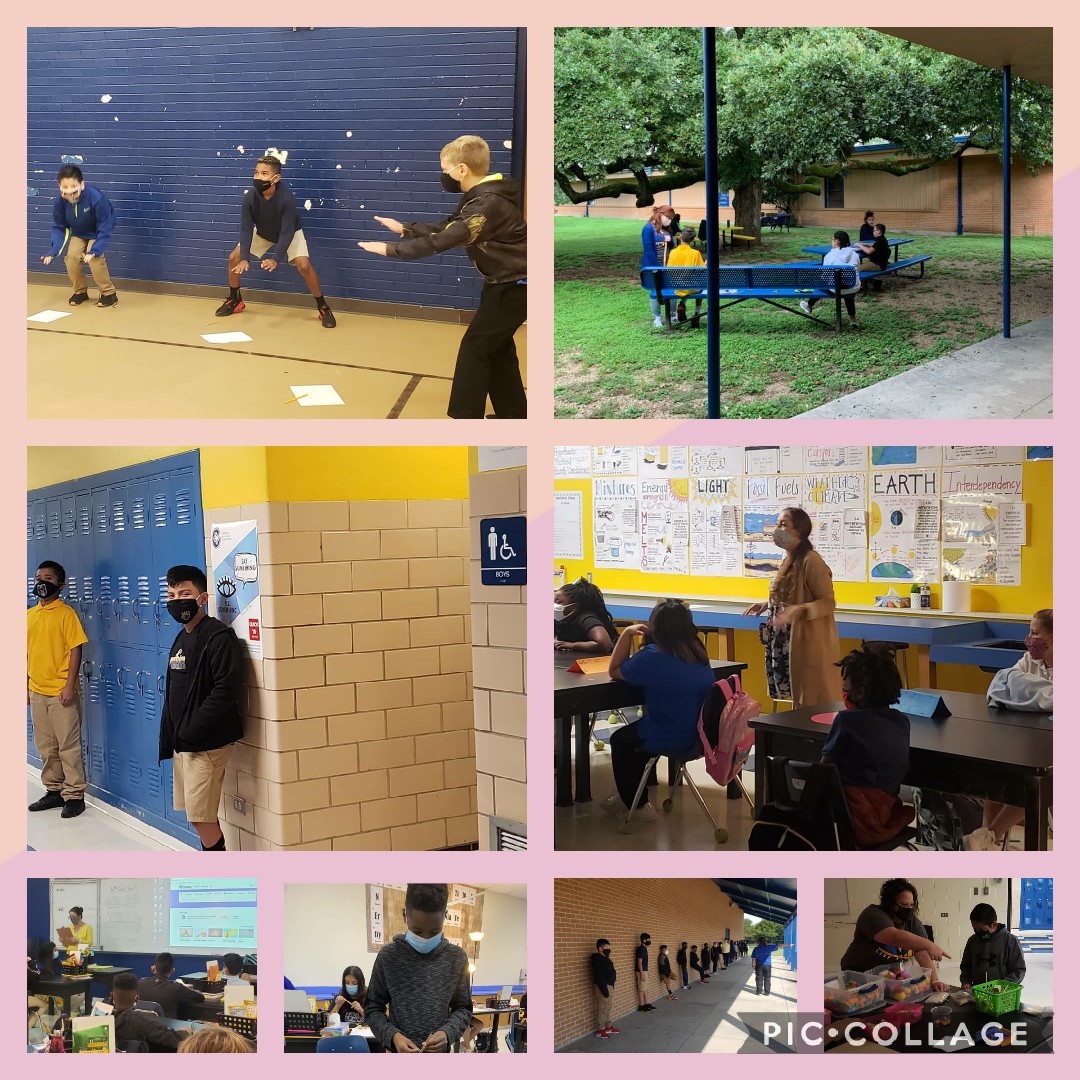 Collins Intermediate tweet media