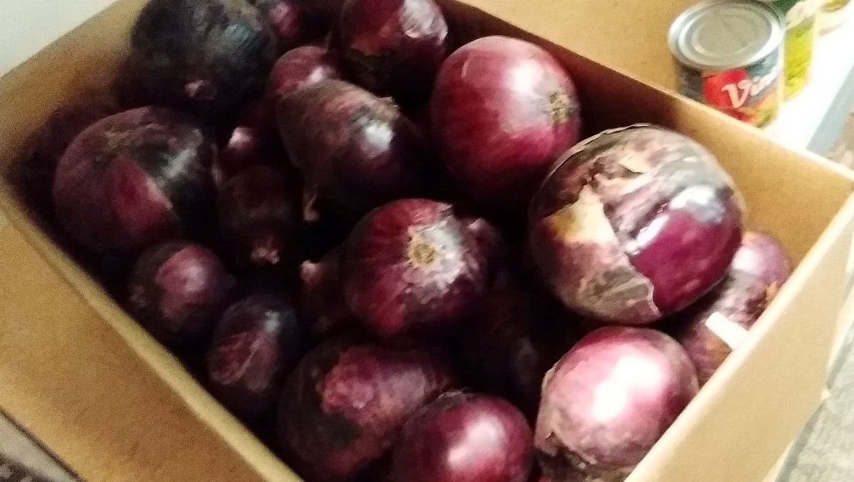PantryUm's tweet photo. Folks, we have 30 lbs. of red onions and 30 lbs. of rainbow carrots that MUST get eaten. FREE FREE FREE! Sounds like a sweet deal to me.

Shout out to Mill Crick Farms &amp; UM Flats for donating all of this beautiful, fresh produce! https://t.co/t2HKSRcXWS