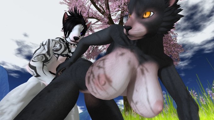 New Video Project *The Country Rest*, is avaliable for public, to watch it - please - use these links