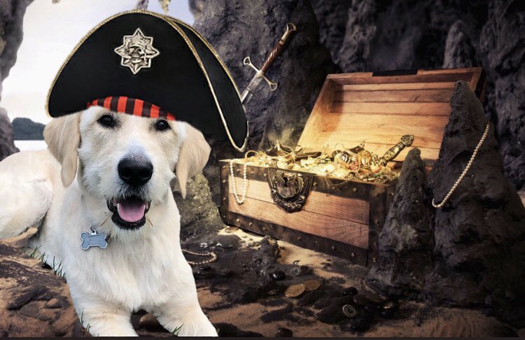 frankend00d's tweet photo. @DogDazeUK @Gina18306341 @daisymae31806 @AdorabullyBadge @RaoBappi @ChanceAndJack @zoethepompotato @Helen09Porter @doo_dooli Arrr Cap’n, First Officer here, they slowly coming to the deck https://t.co/Rf3xTYSH9M