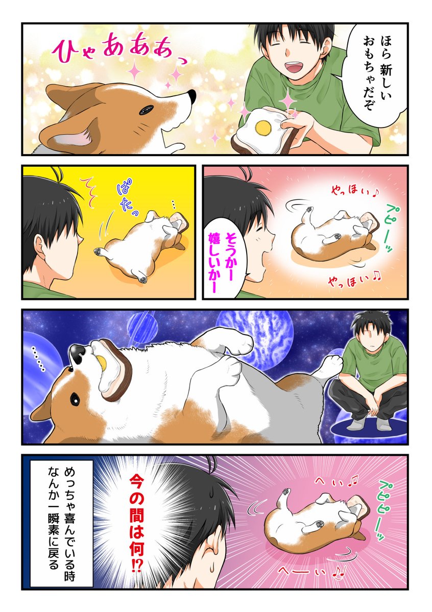 真顔で止まる犬 