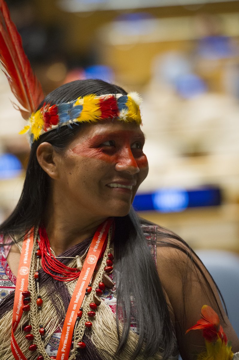 UN's tweet photo. Indigenous peoples are at disproportionate risk in public health emergencies such as #COVID19.

Follow @UN4Indigenous for updates on the #coronavirus crisis and its impact on indigenous communities. https://t.co/BbVZ4usYz8 https://t.co/D3Np7sPHzQ