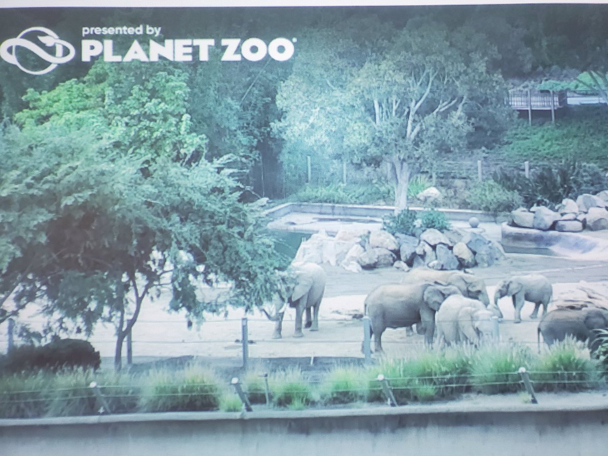 Journal thoughts! 
If you had a pet elephant, what would you do together? 
P.S. You can watch the elephant cam all day long from the San Diego zoo. 
#grade2isahoot #ENDHuskies
