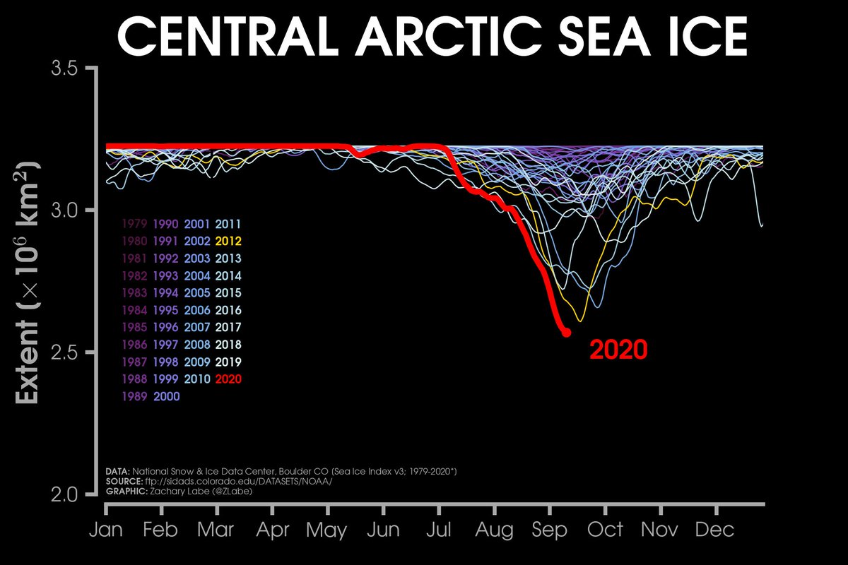 Line graph time series of central Arctic sea ice extent for daily values from 1979 to 2020